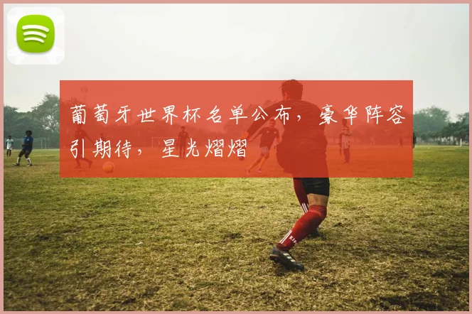 葡萄牙世界杯名单公布，豪华阵容引期待，星光熠熠