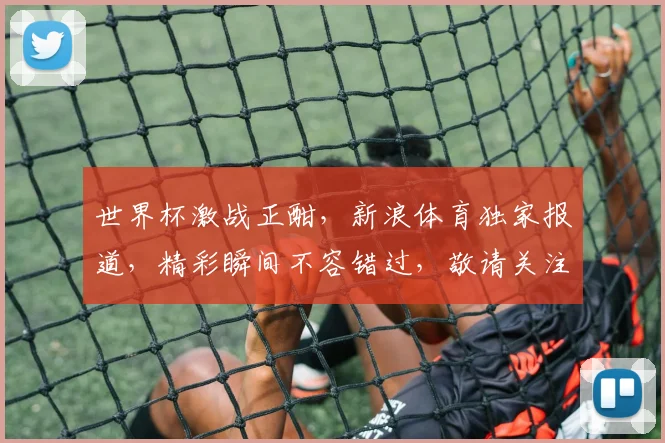 世界杯激战正酣，新浪体育独家报道，精彩瞬间不容错过，敬请关注