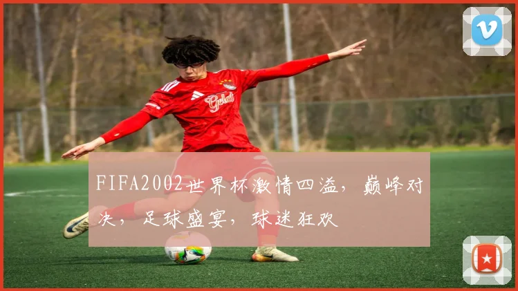 FIFA2002世界杯激情四溢，巅峰对决，足球盛宴，球迷狂欢